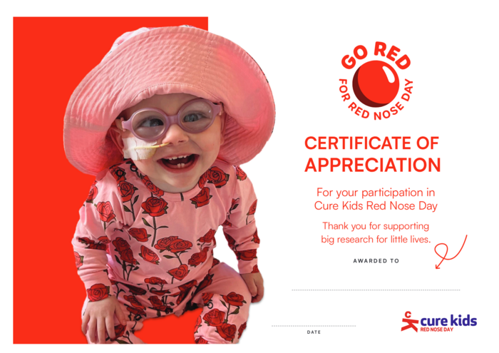 Certificate of appreciation - Ambassador Paige